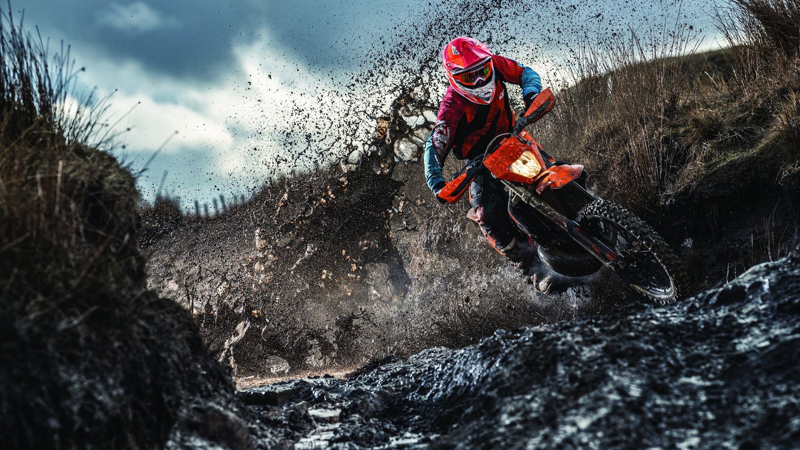 _冠军访谈:冠军背后的奋斗故事_,冠军专访